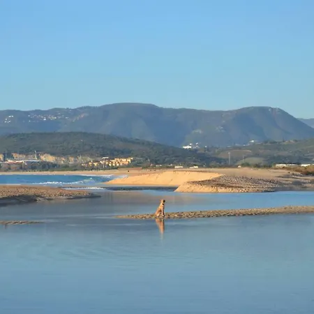 Meuble De Tourisme Classe A Leccia Au Calme Ajaccio Διαμέρισμα Αζάτσιο